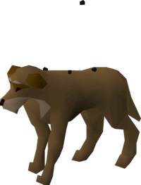 Stray dog.png