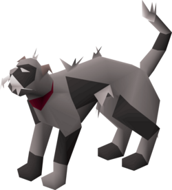 Wily cat (grey and black) pet.png